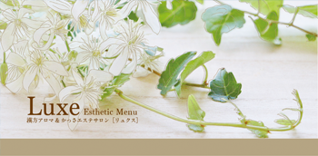 2018Luxeフライヤー
